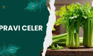 The Health Benefits of Pravi Celer Why You Should Include It in Your Diet