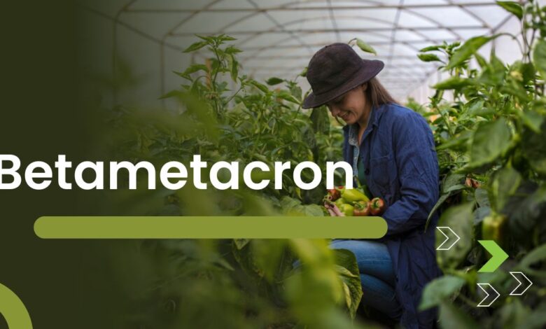 The Ultimate Guide to Betametacron What You Need to Know
