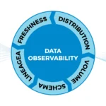 Data Observability
